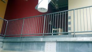 Hand Rails fabricated by XTREME Fabrication of Maryland!